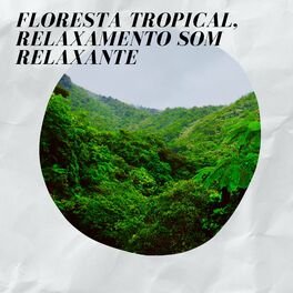 Album cover of Floresta Tropical, Relaxamento Som Relaxante