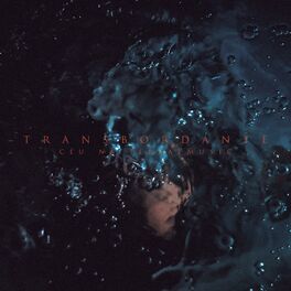 Album cover of Transbordante