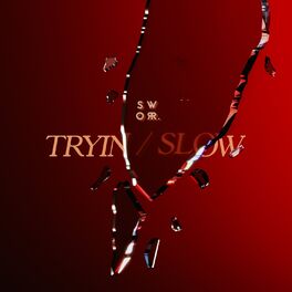 Album cover of Tryin / Slow