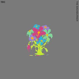 Album cover of The Backburner