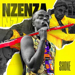 Album cover of Nzenza