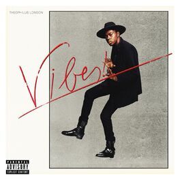 Album cover of Vibes