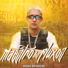Album cover of O Maestro dos Fluxos Versão Bregadeira