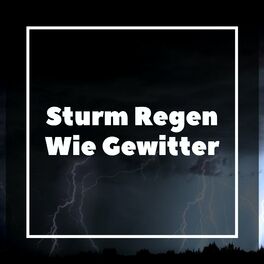 Album cover of Sturm Regen Wie Gewitter