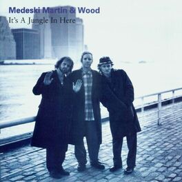 Medeski Martin & Wood - Tonic: lyrics and songs | Deezer