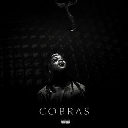 Album cover of Cobras (feat. T Gallardo & Samsonyte)