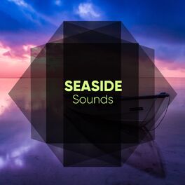 Album cover of # 1 Album: Seaside Sounds