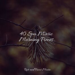 Album cover of 40 Spa Music Morning Pieces