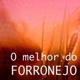 Album cover of O Melhor do Forronejo