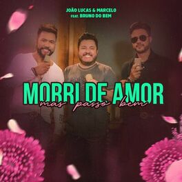 Album cover of Morri de Amor Mas Passo Bem (feat. Bruno do Bem)