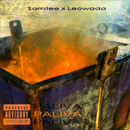 Album cover of Paliva