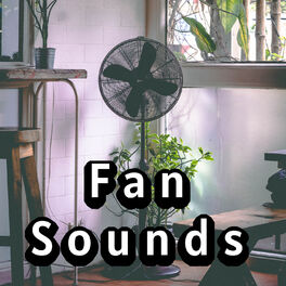 Album cover of All in One Mesmerizing Fan Sounds Collection