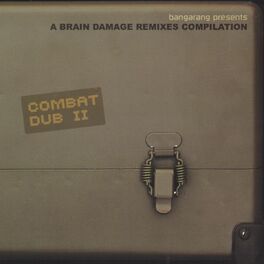 Album picture of Combat dub ii