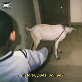 Album cover of PISTOLER POESI OCH SEX