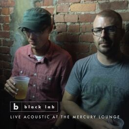Album cover of Live Acoustic at the Mercury Lounge