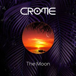 Album cover of The Moon