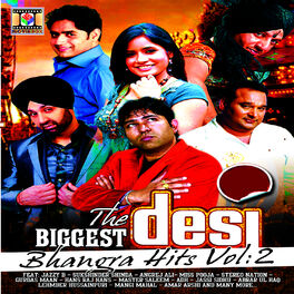 Album cover of The Biggest Desi Bhangra Hits, Vol. 2
