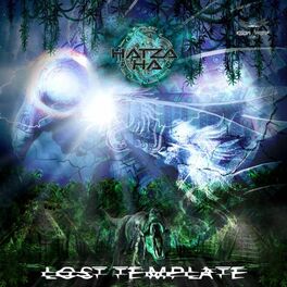 Album cover of Lost Template