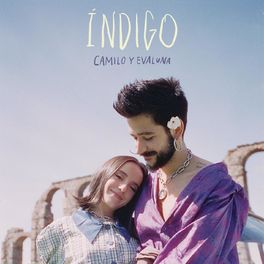 Album cover of Índigo