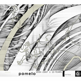Album cover of Pomelo 1994-2007 :: 13 Years