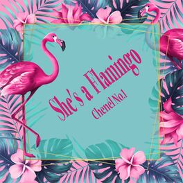 Album cover of She's a Flamingo