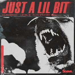 Album cover of Just A Lil Bit