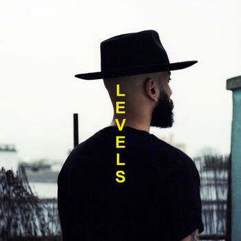 Levels cover