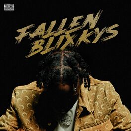 Album cover of Fallen Blixkys