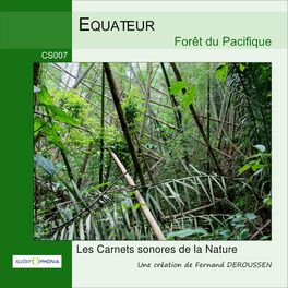Album cover of Équateur: Forêt du Pacifique