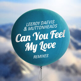 Album cover of Can You Feel My Love (Remixes)