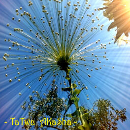 Album cover of Tatwa Akasha