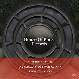 Album cover of Q-Tracks For Your Dj Set Tech House 4
