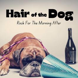 Album cover of Hair Of The Dog: Rock For The Morning After