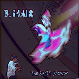 Album cover of The Last Bird