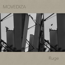 Album cover of Ruge