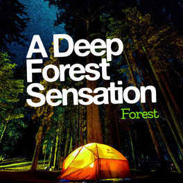Album cover of A Deep Forest Sensation