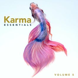 Album picture of Karma Essentials, Vol. 5