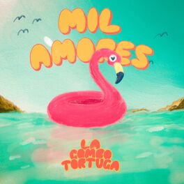 Album cover of Mil Amores