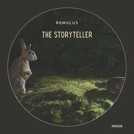 Album cover of The Storyteller
