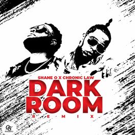 Album cover of Dark Room (Remix)