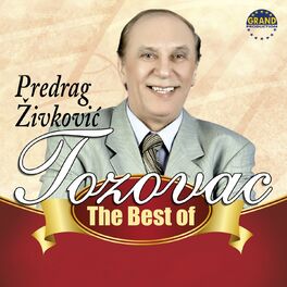 Album cover of The Best Of Predrag Živković Tozovac