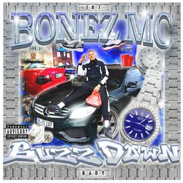 Album cover of Buzz Down