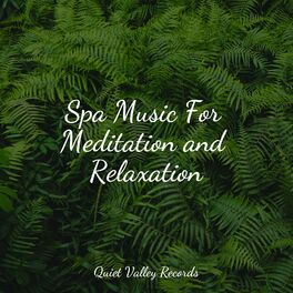 Album cover of Spa Music For Meditation and Relaxation