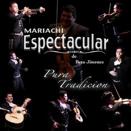 Album cover of Mariachi Espectacular: Pura Tradicion