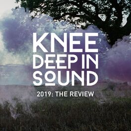 Album cover of 2019: The Review