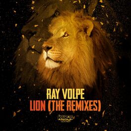 Album cover of Lion (The Remixes)
