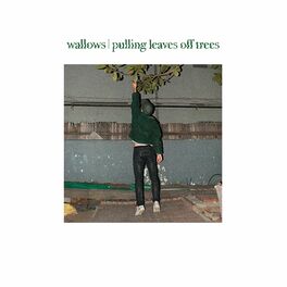Album cover of Pulling Leaves Off Trees