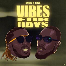 Album cover of Vibes For Days