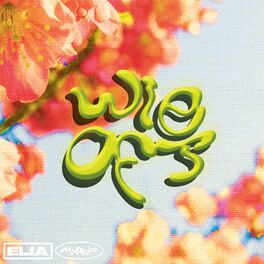 Album cover of WIE OFT
