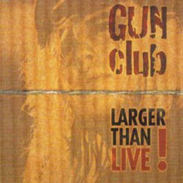 Album cover of Larger Than Live